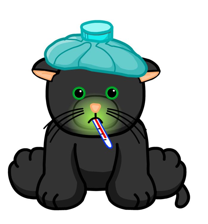 Cat Flu Upper Respiratory Tract Infection Veterinary Hospital Group